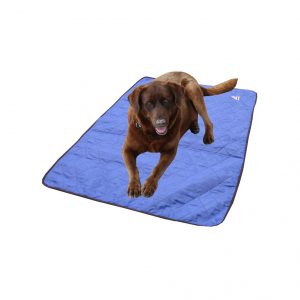 tapis chien bleu